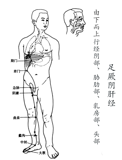 治疗甲状腺结节、甲状腺癌变中药方