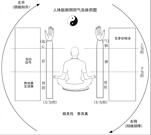 人体脏腑阴阳气血脉药图