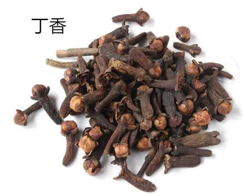 丁香，白豆蔻（或砂仁）治老胃病