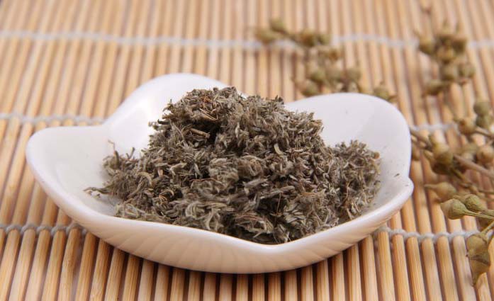 中草药“茵陈”重用方有卓效！